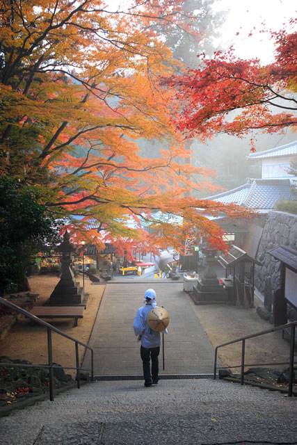 大窪寺の紅葉19見頃の時期と駐車場は 口コミと混雑状況も調査