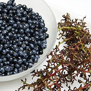 山葡萄酒ワインにアンチエイジング効果!お取り寄せ通販と簡単作り方も調査!