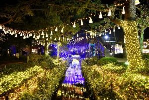 倉敷みらい公園イルミネーション2020はいつまで？口コミもチェック