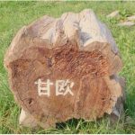 アモー