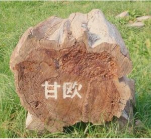 登米市･アモー(古民家カフェ甘欧)の行き方アクセスは？体験メニューと口コミも調査！