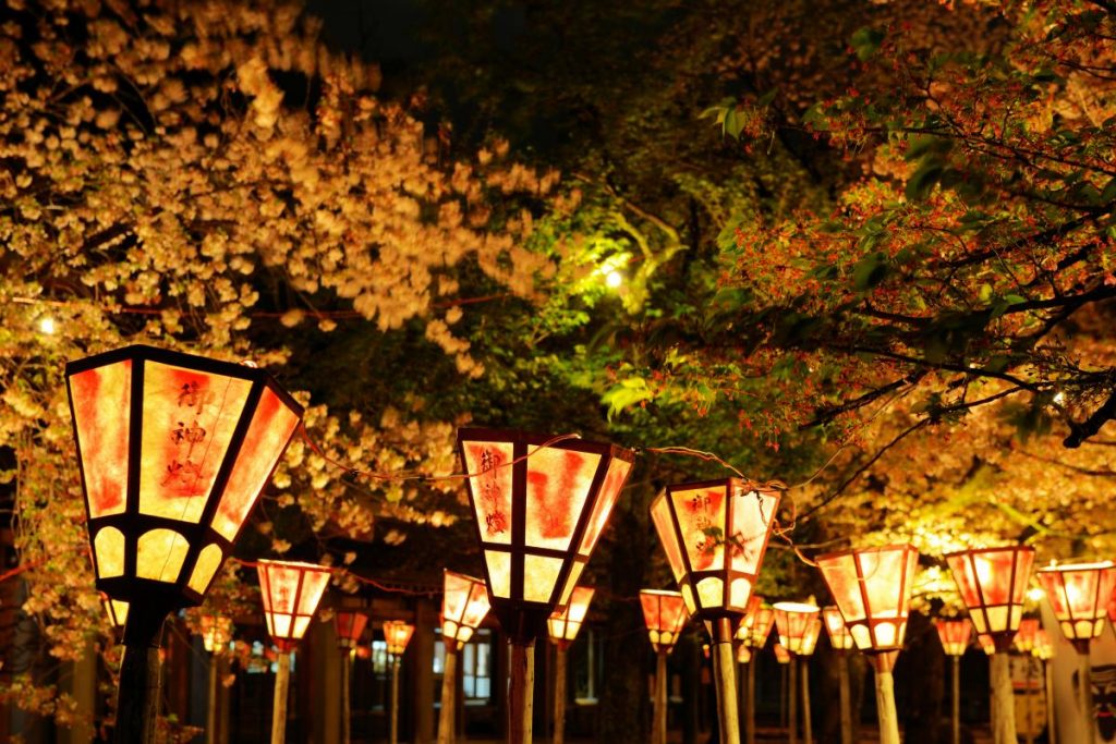 三嶋大社 桜2