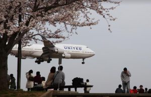 成田さくらの山公園2022桜まつりとライトアップは?トイレや開花状況も調査