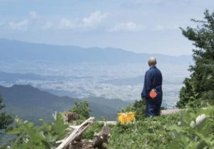 やまと尼寺（奈良・音羽山観音寺）精進日記文月･ 万葉ハーブの贈りもの：NHK
