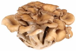 黒舞茸の値段と通販や口コミは？舞茸との違いやダイエットレシピも