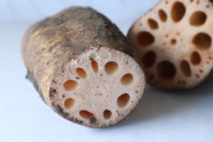 大口れんこん(新潟長岡)通販お取り寄せとレシピや口コミまとめ！満点レストラン