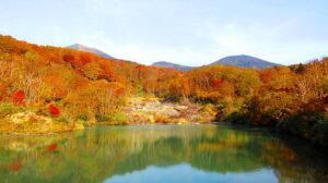 支笏湖の紅葉祭り2022と見頃の時期は?口コミや温泉情報も調査!